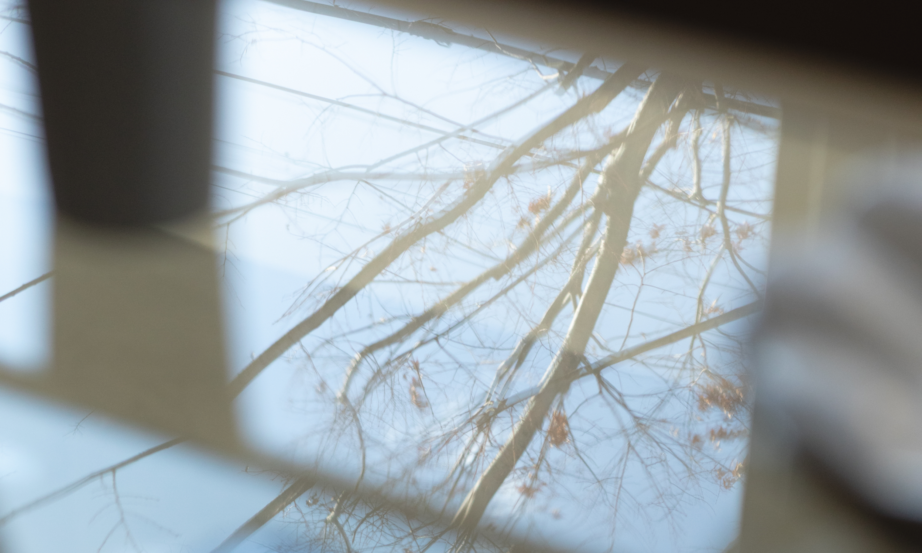 journal 公開のお知らせ