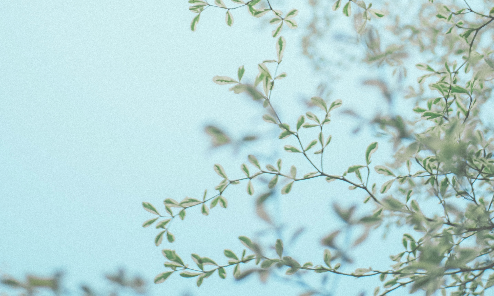 GWの営業について